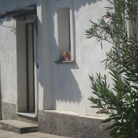 Maida B&B Vaiana חדר תמונה