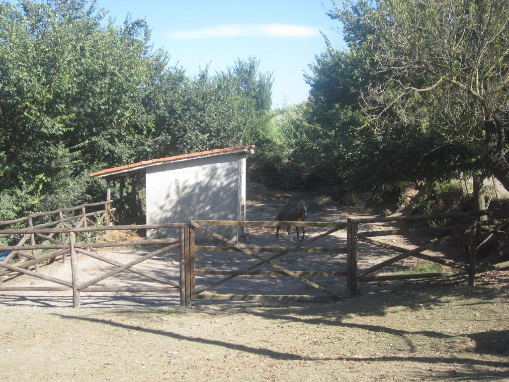 Maida B&B Vaiana מראה חיצוני תמונה