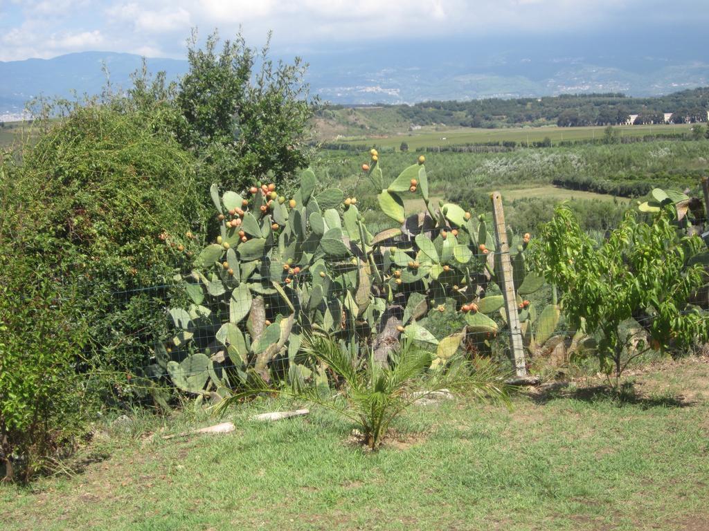 Maida B&B Vaiana מראה חיצוני תמונה