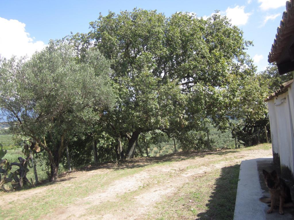 Maida B&B Vaiana מראה חיצוני תמונה